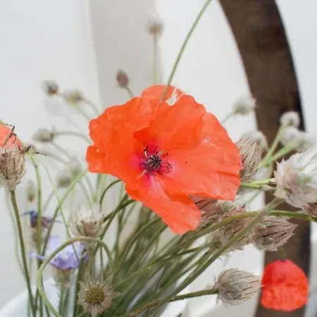 Apartamento Verschlafen-- In Sanfte Huegel Eingebettet- By Interhome *