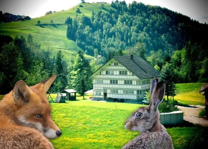 Appartement Verschlafen-- In Sanfte Huegel Eingebettet- By Interhome Sankt Peterzell