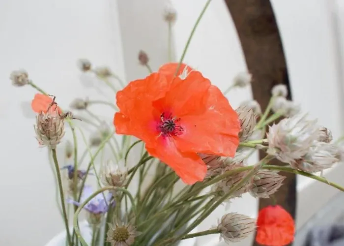 Apartamento Verschlafen-- In Sanfte Huegel Eingebettet- By Interhome *